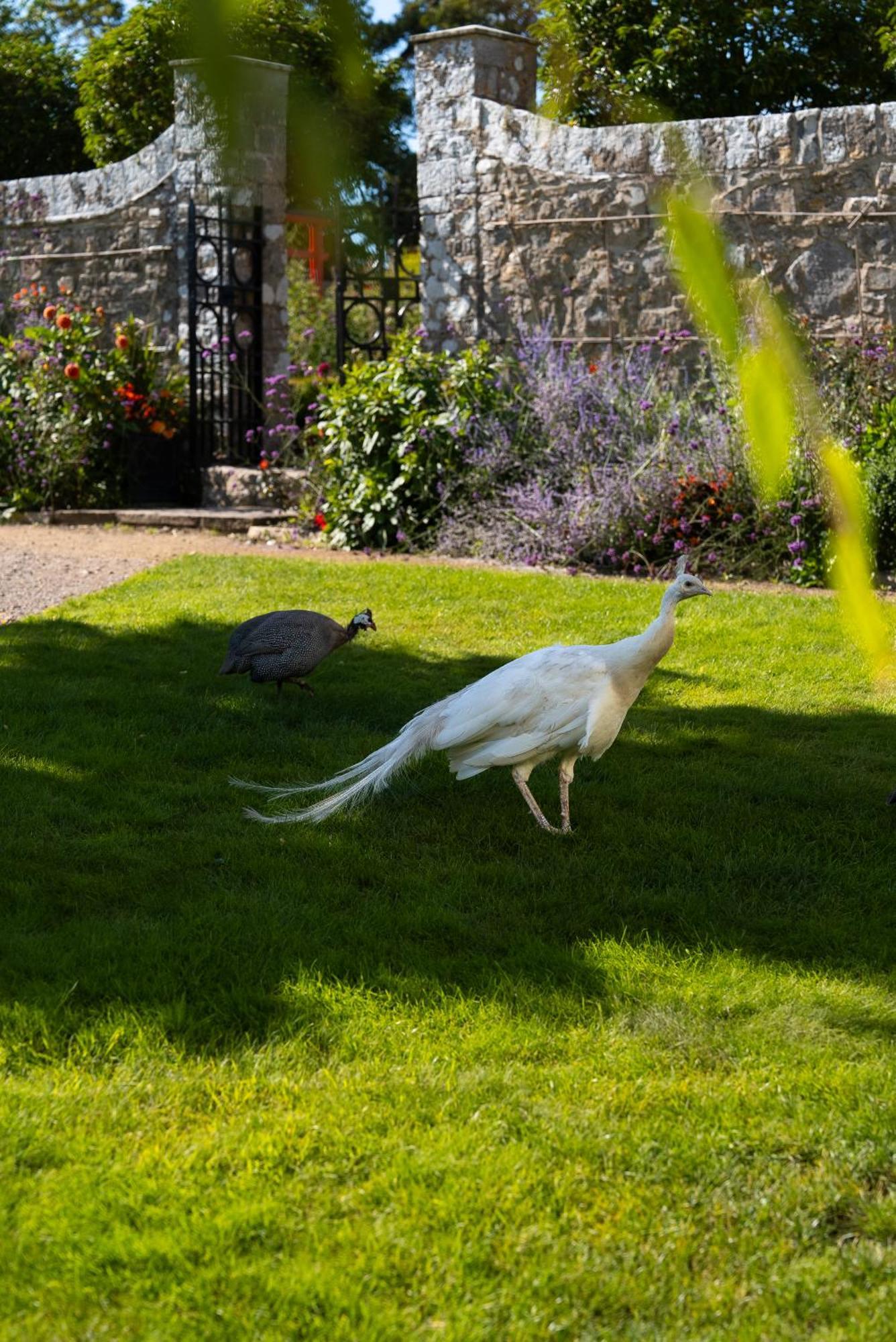 Gileston Manor-Self Catering Appartement Saint Athans Buitenkant foto